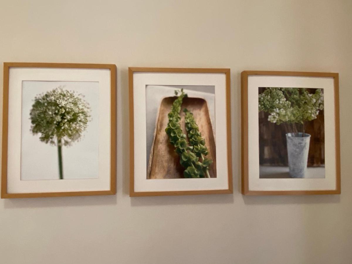 Klimatyczny Apartament Przy Rynku Βρότσλαβ Εξωτερικό φωτογραφία
